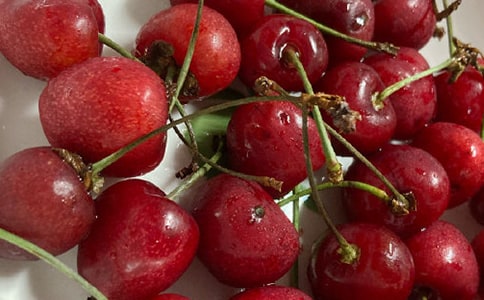 ժ�������ĺϼ�15ƪ