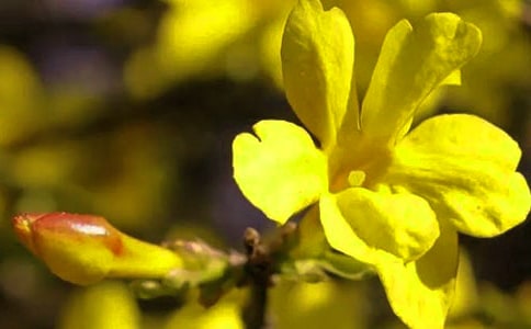 �а����g(sh��)������ӭ�����̰���ͨ��11ƪ��