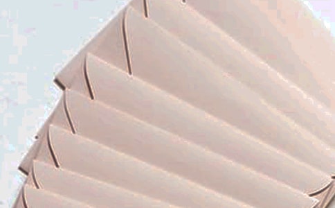 生命的郵件作文