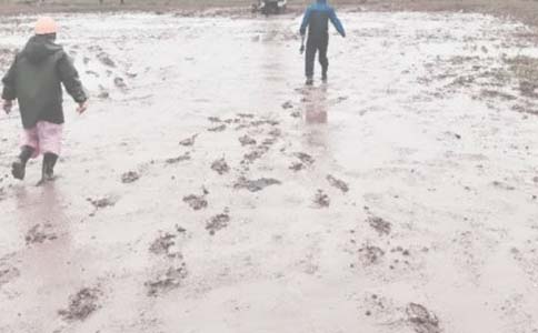 油田殘疾人先進(jìn)典型事跡范文(通用24篇)