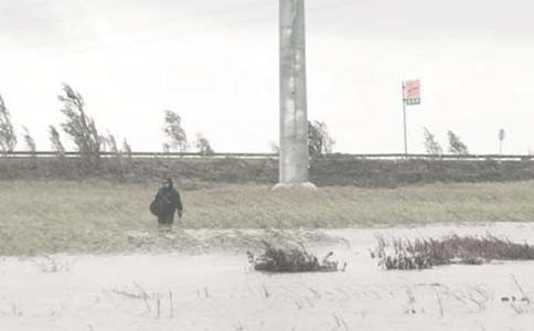 油田 工作計(jì)劃