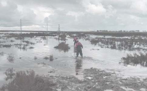 Ӱ����ﰲȫ���a(ch��n)����ӴΆ��}�����c̽ӑ