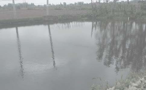 �~���а���ͬ�ӱ�