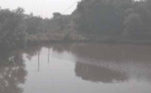 個(gè)人魚塘承包簡單合同范本