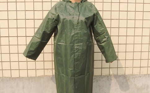 紫色雨衣下的父愛作文