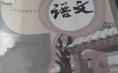 語(yǔ)文閱讀教學(xué)心得15篇