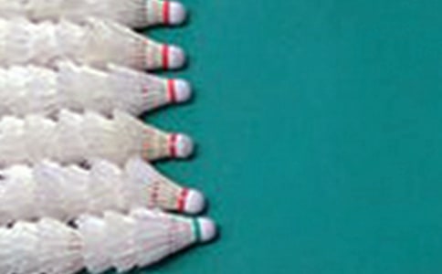 �ҵ��n���������ġ�������ë��