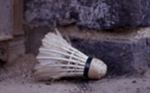 ��ë��@��ِ֮���S�Pɢ��