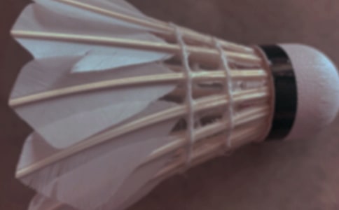 ����ë���������ί�����