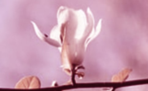 ���m����Ļ���������