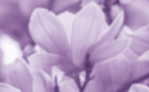 [���x]���m������15ƪ