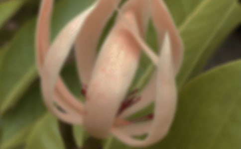 ����������m��ɢ���S�P