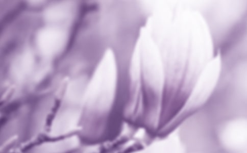 �P(gu��n)�����m�����꼉(j��)���ļ���6ƪ