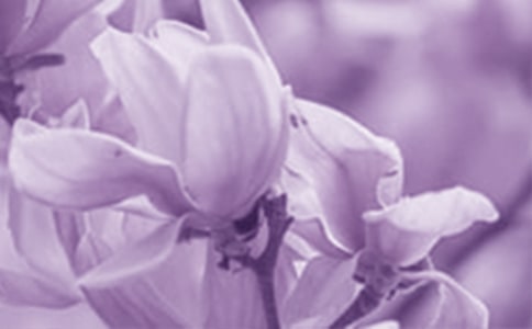 ���m���Ġ�������