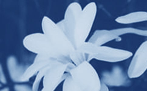 ٝ�����m���ľ���