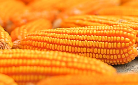 ����������С���ϻ��ķ���