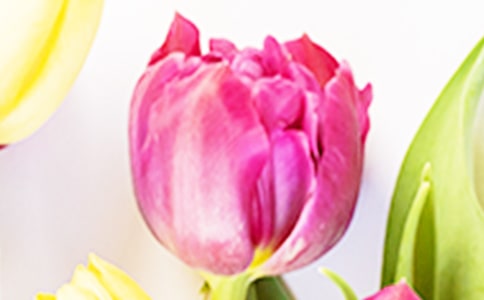 �P(gu��n)��������ľ���