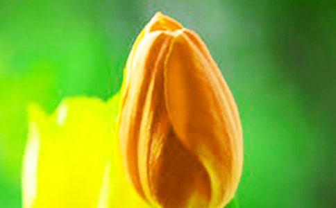 ������Ĵ�������