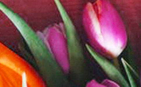 關于郁金香的作文范文(精選36篇)