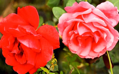 �ҵ��¼�������