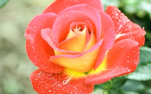 �������¼�������