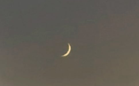 大班語言游戲教案《月亮的味道》(精選8篇)