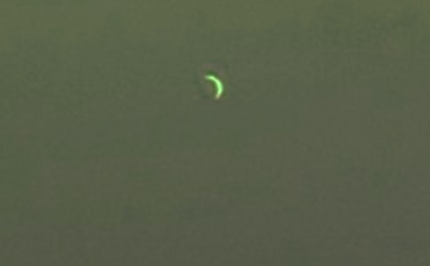 關(guān)于星星和月亮的作文