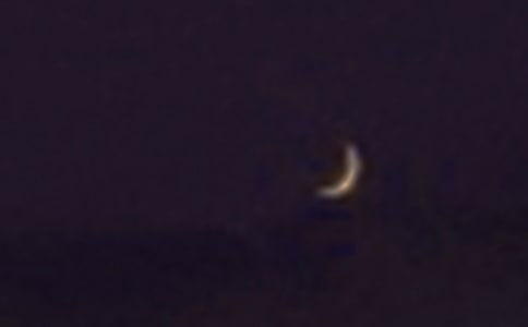 ����������Ը���Ľ̰�ģ��