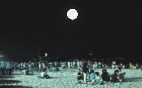 華枝春滿,天心月圓散文