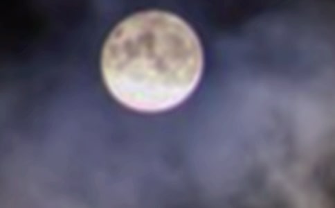 又到月圓時(shí)作文