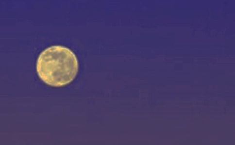 �P(gu��n)���A������300��3ƪ