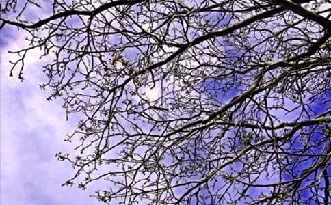 ���Ђ�(g��)���簲���Z��ͨ��200�䣩