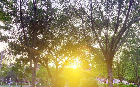 流行個(gè)性早安寄語30句精選