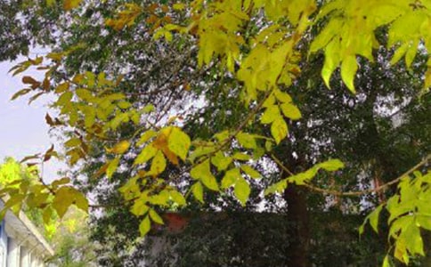 ���Ђ����簲���Z��ͨ��230�䣩