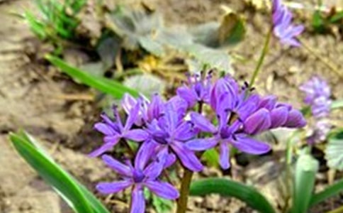 流行溫馨早安寄語大全60句精選