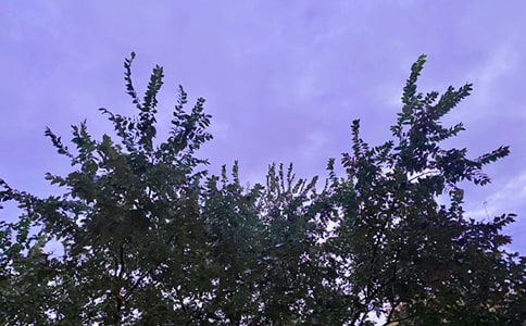 ��(ji��n)��Ψ���簲���Z(y��)�����x165�䣩