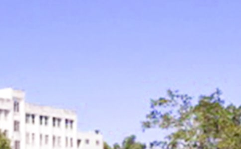 �����á�2023�����õ��簲ף���Z����28��