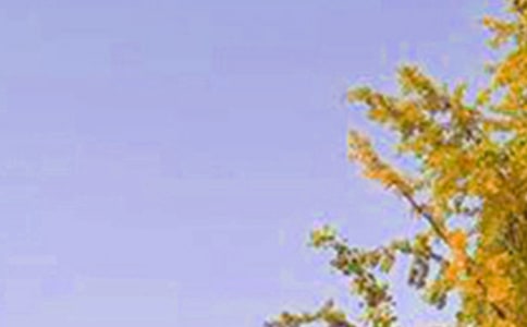 2022年簡單的治愈系早安問候語短信17條