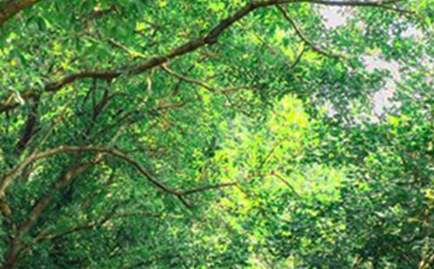 簡(jiǎn)短勵(lì)志早安寄語(精選450句)