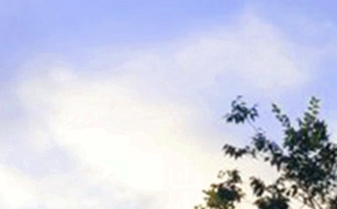 常見(jiàn)唯美早安寄語(yǔ)130句精選