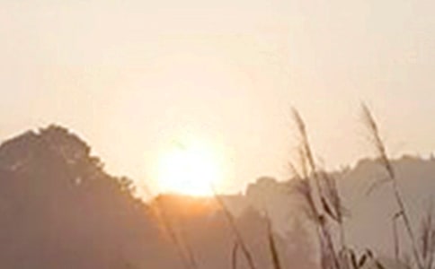 ��(j��ng)�������簲���Z�����x40�䣩