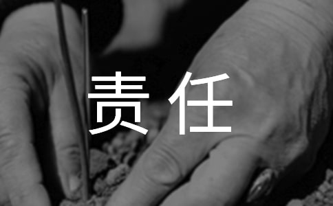 對完善鐵路資產(chǎn)經(jīng)營責任制的若干建議