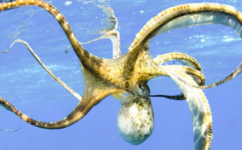 С�����g(sh��)���~(y��)�̰�