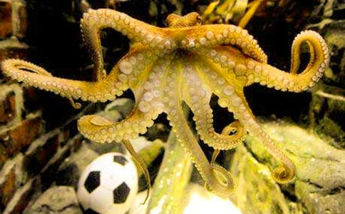 ���~��(hu��)׃ɫ����