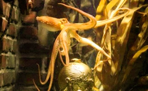 ��឵���һ�l�����~����