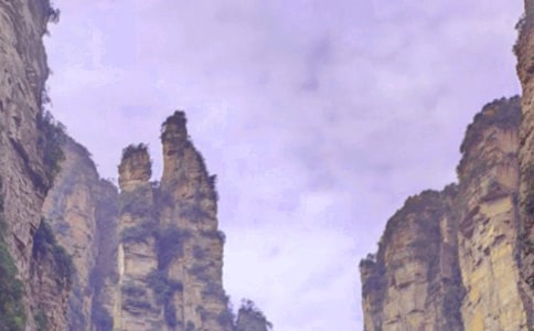 張家界導(dǎo)游詞的作文400字(精選15篇)