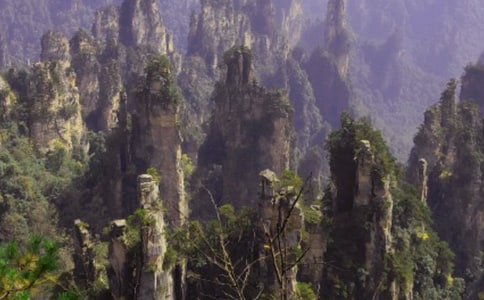 美麗的張家界作文500字八篇