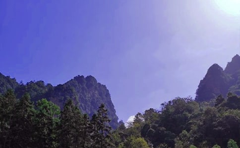 迷人的張家界教案