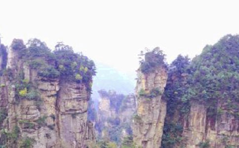 游張家界有感作文