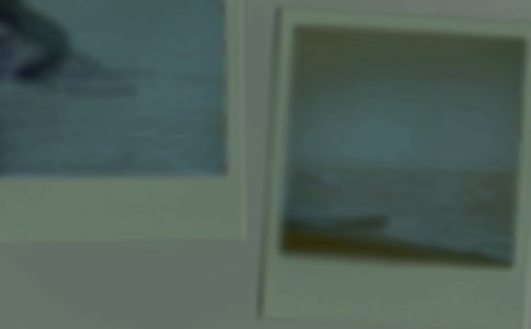 照片學(xué)生作文(合集15篇)